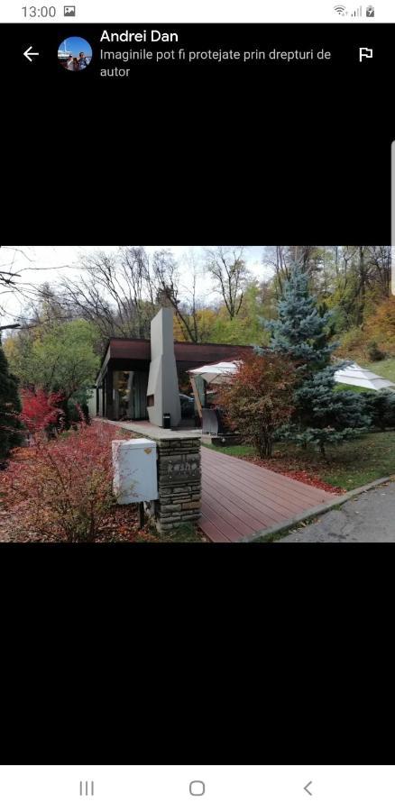 Apartament Simona Apartment Brasov Bagian luar foto